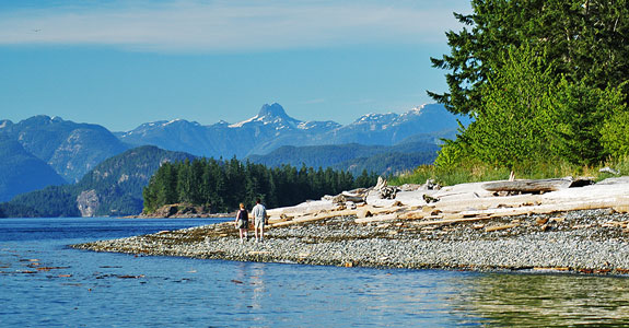 Shark Spit, Marina Island